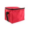 BGCL002 Insulated Cooler Bag 2