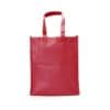 BGTS024 80gsm Portrait Non Woven Bag 5
