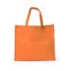 BGTS025 80gsm Landscape Non Woven Bag 3