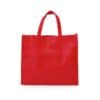 BGTS025 80gsm Landscape Non Woven Bag 4