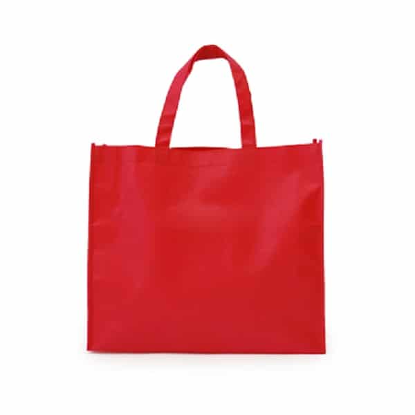 BGTS025 - 80gsm Landscape Non-Woven Bag - Edmaro