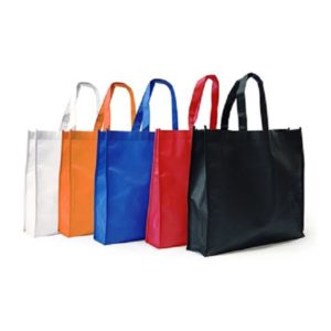 BGTS025 80gsm Landscape Non Woven Bag 6