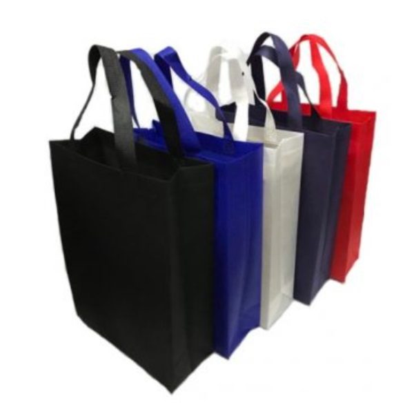 BGTS046   Non Woven Bag 2