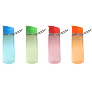DWBO031 650ml Tritan Bottle BPA FREE