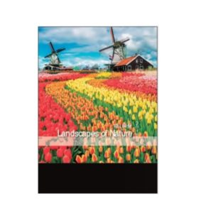LFCL028 7 Sheets Wire O Calendars