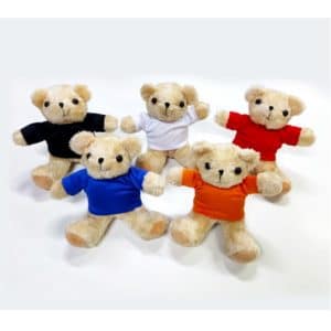 LFSI009 Teddy Bear
