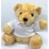 LFSI010 Teddy Bear 1