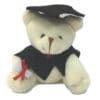LFSI011 Mini Graduation Bear