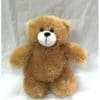 LFSI013 Standing Bear