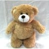 LFSI014 Standing Bear
