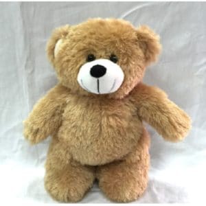 LFSI014 Standing Bear