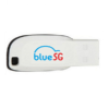 bluesg ITDR031