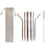 LFOT234 - Stainless Steel 3 piece straw set with brush and pouch
