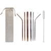 LFOT234 Stainless Steel 3 piece straw set with brush and pouch