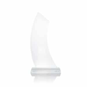 AWCL010 Crystal Award