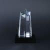 AWCL026 3 Crystal Award