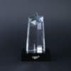 AWCL026 5 Crystal Award