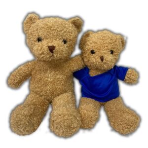 LFSI026 20cm Teddy Bear with Tshirt