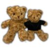 LFSI027 24cm Teddy Bear with Tshirt 1