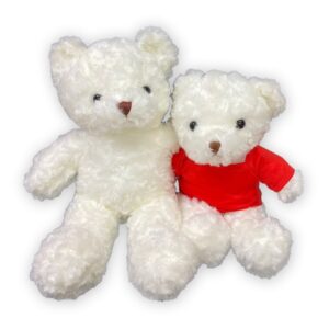 LFSI027 24cm Teddy Bear with Tshirt