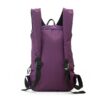 BGBP098 Light weight Daypack 21