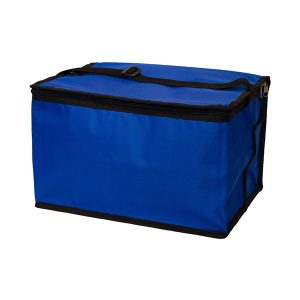 BGCL020   Cooler Bag