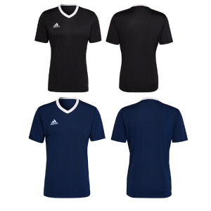 ATBS019   Adidas entrada 22 jersey