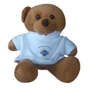 PA YM bear